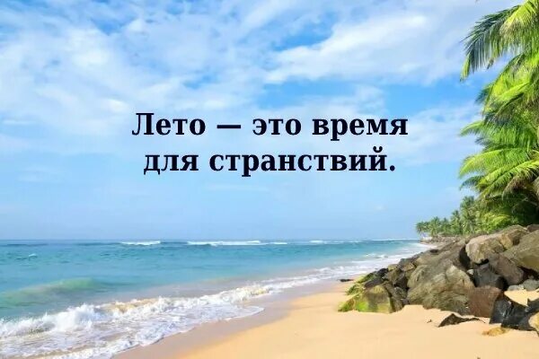 Цвет лета цитаты
