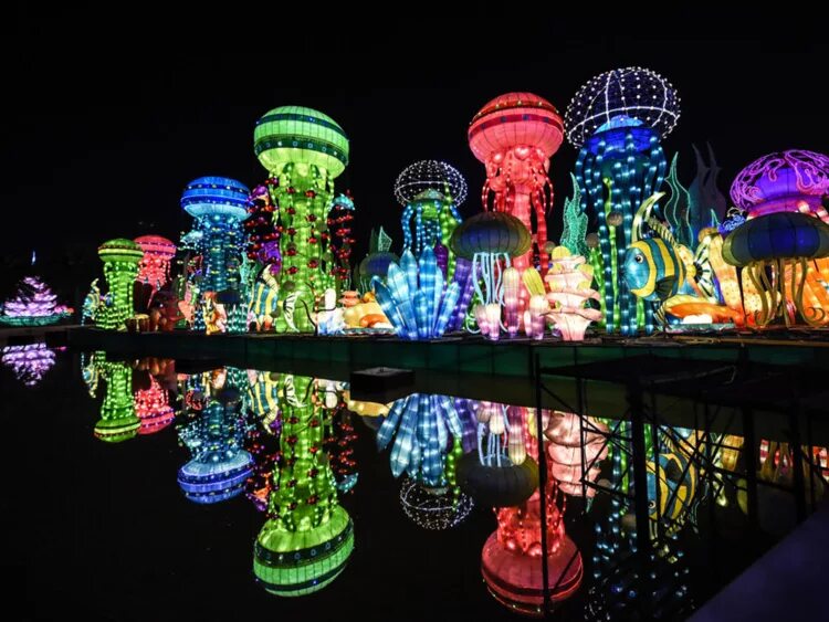 Дубай гарден глоу парк. Дубай гарден глоу. Светодиодная подсветка деревьев. Глоу парк в дубае. Светящийся парк в дубае.