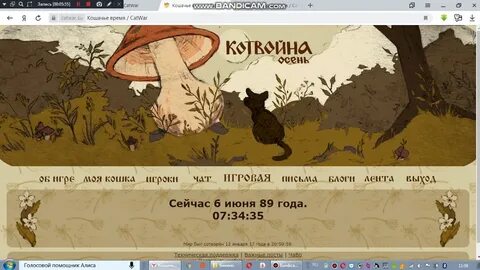 Кэтвар места во рту
