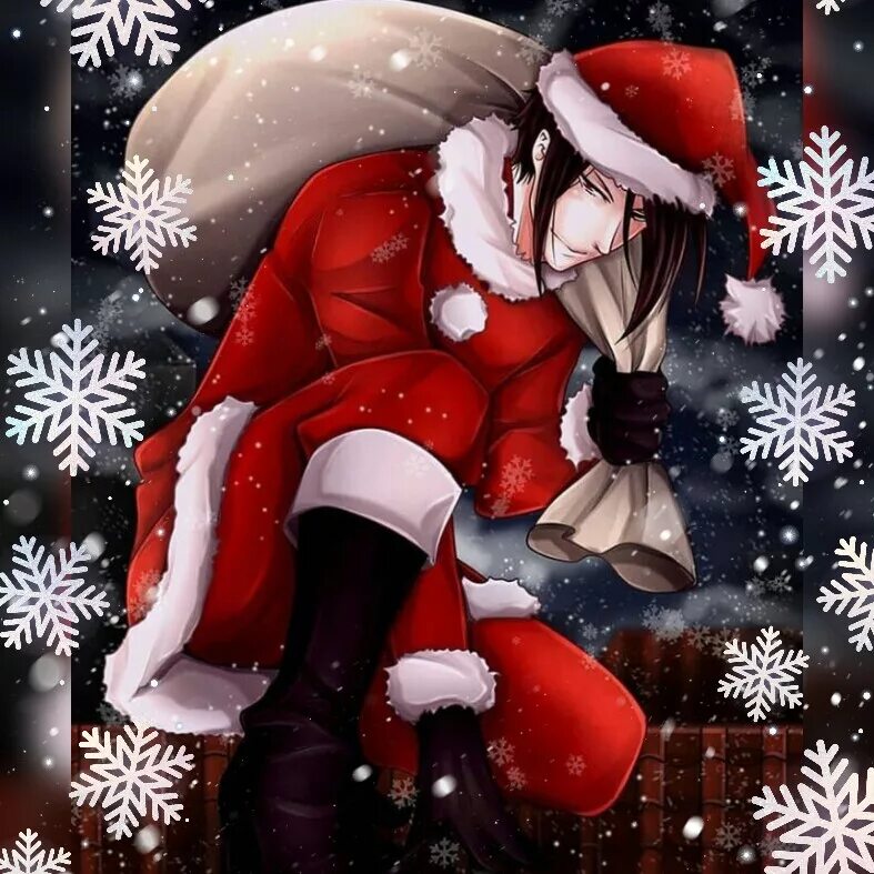 новогодний кот. темные новогодние аватарки. новогодние котята. темные новогодние аватарки. кот в новогоднем колпаке.