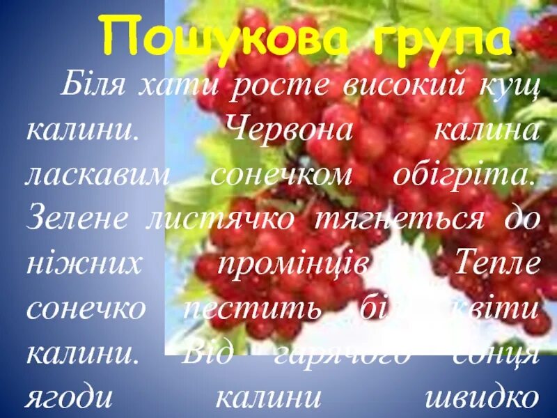 Лузи червона калина текст. Червона калина. червона калина текст. червона калина похилилася. червона калина оригинал.