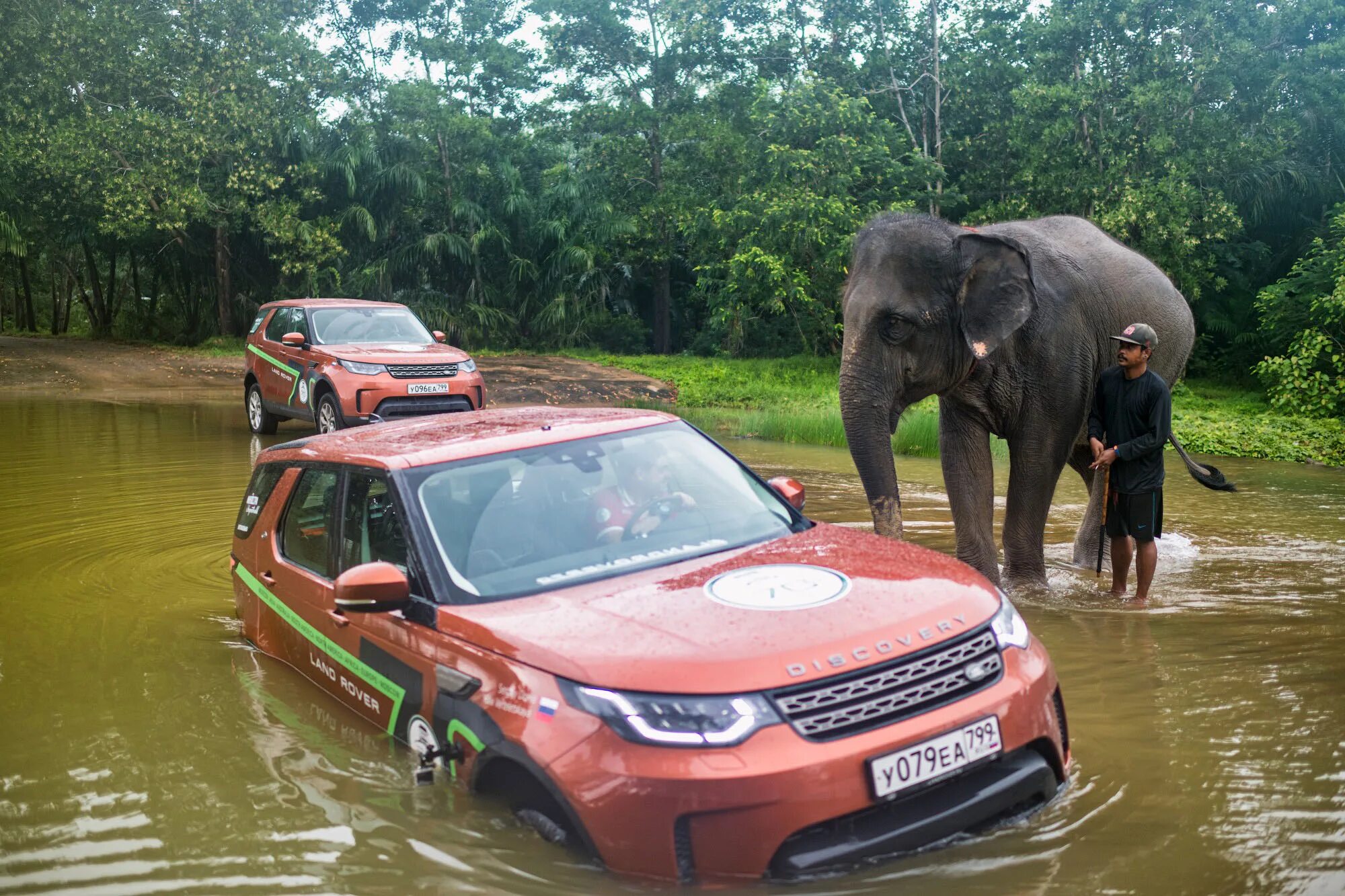 Elephant car. Таиландские машины. Автомобили в Тайланде. Слон автомобиль. Русские машины в Тайланде.