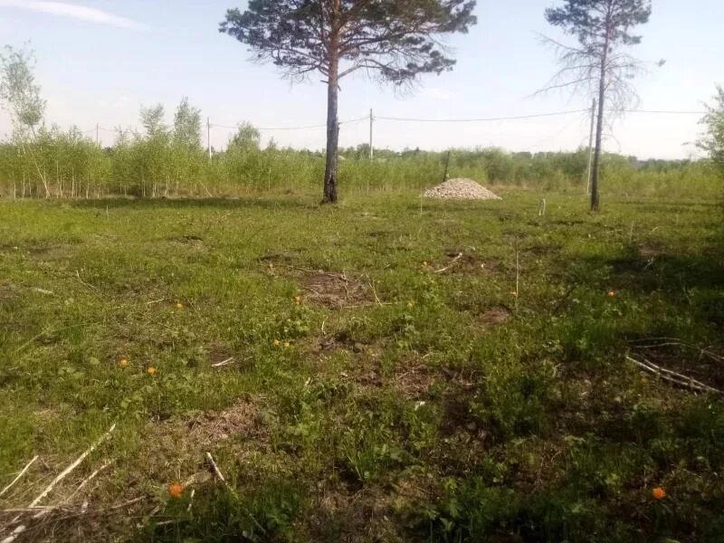 Гирлянда лампочки ферон. Уличные украшения. Снт юность 69. Гирлянда на террасе. Гирлянда лампочки.