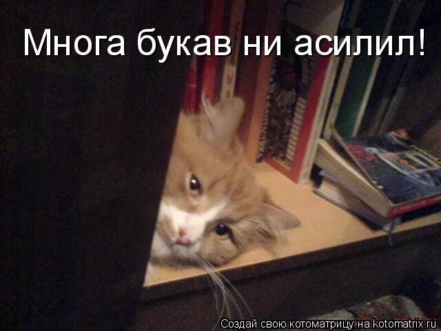 много букаф. слишком много букаф. слишком много букв мем. мемы с миньонами. слишком много.