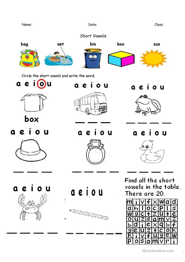 Find words in the box