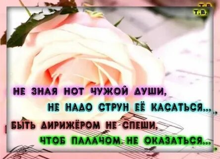 Не зная струн чужой души
