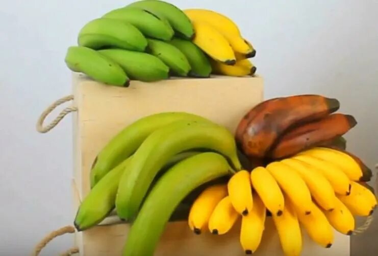 Как дольше сохранить бананы. Рынок бананов. Банан комнатный. Бананы хранение. Дикий банан.
