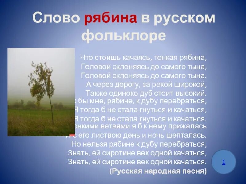 Текст песни у дуба старого. Что стоишь качаясь тонкая рябина. Тонкая рябина текст. Рябина текст. Что стоишь качаясь тонкая рябина головой склоняясь до самого тына.