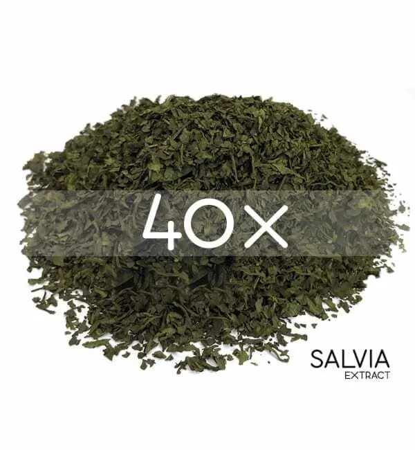 Salvia extract. Сальвия дивинорум экстракт. шалфей (сальвия дивинорум). шалфей предсказателей (salvia divinorum). salvia divinorum семена.