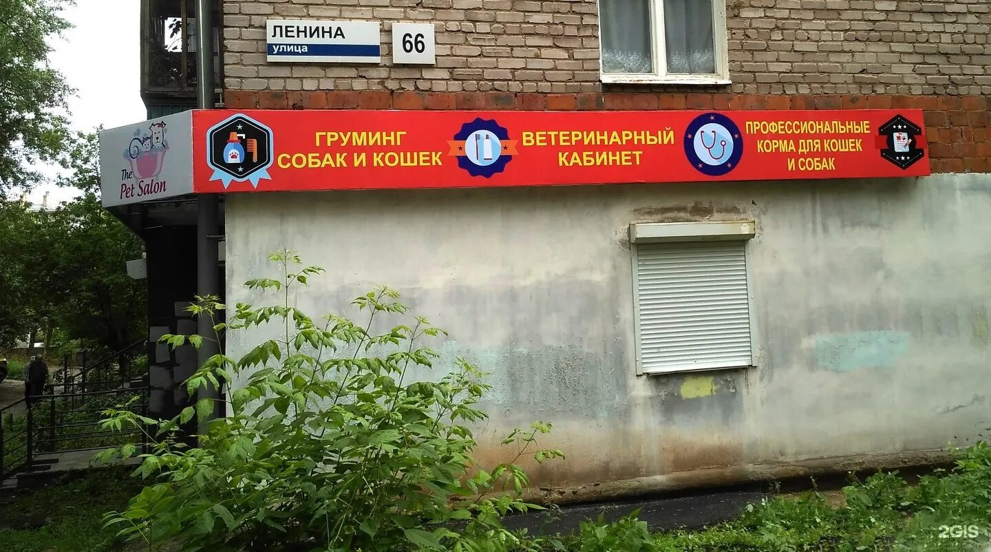 Грумер ижевск. Ленина 66 ижевск. мандарин груминг ижевск ленина. ленина 34 ижевск. ленина 66 абакан.