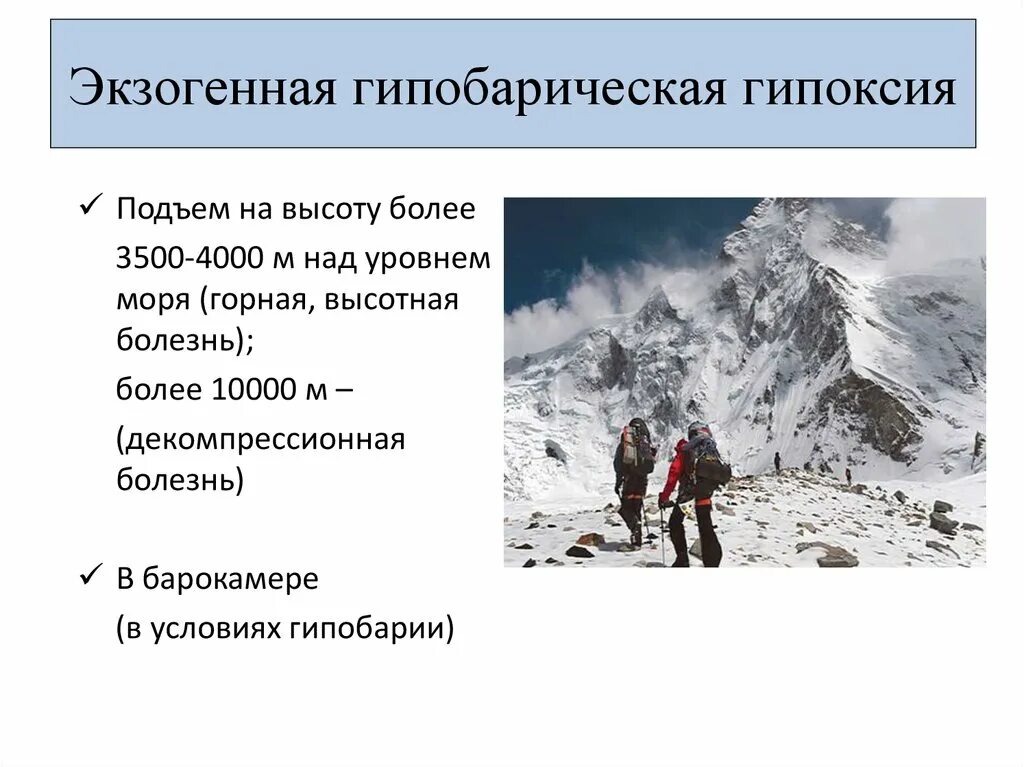 Экзогенный тип гипоксии