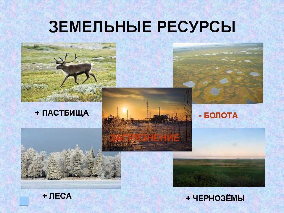 Чем богата западная сибирь