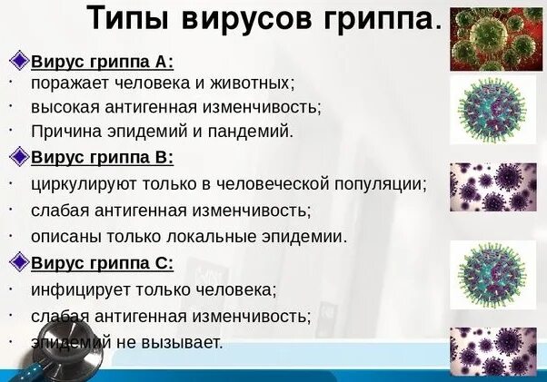 Общие признаки вирусов биология 5 класс. Вирус гриппа классификация микробиология. Грипп типа а. Типы вирусов. Типы вирусов гриппа человека.