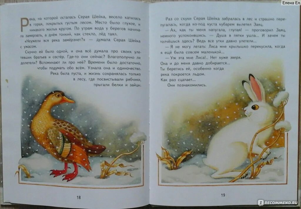 Серая шейка рисунок к сказке для детей. Серая звездочка иллюстрации. Краткое содержание сказки серая шейка. Серая сказка 2 класс. Серая звёздочка заходер.