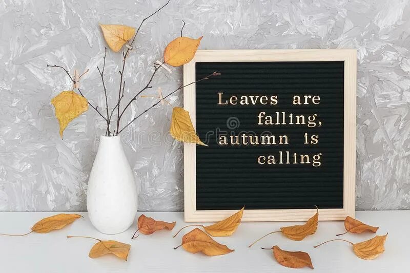 Leaves were calling me