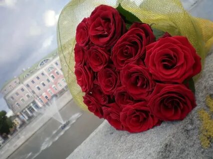 Полюбил розы