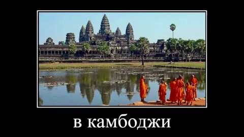 В камбодже выращивает трек