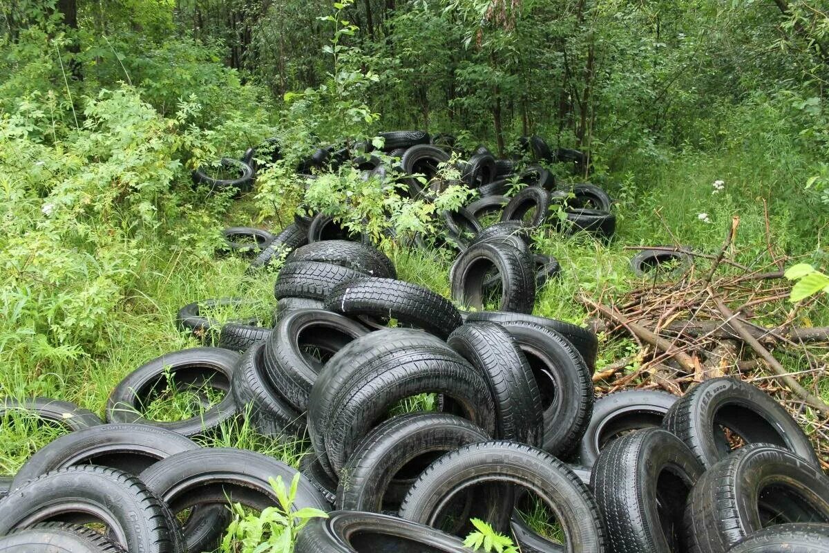 Свалка покрышек. Старые покрышки. Отработанные покрышки. Автомобильные покрышки свалка. Куда утилизировать шины автомобильные