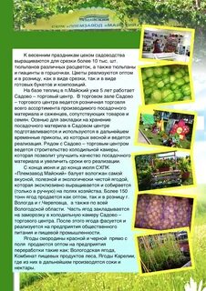 Майский вологда телефон