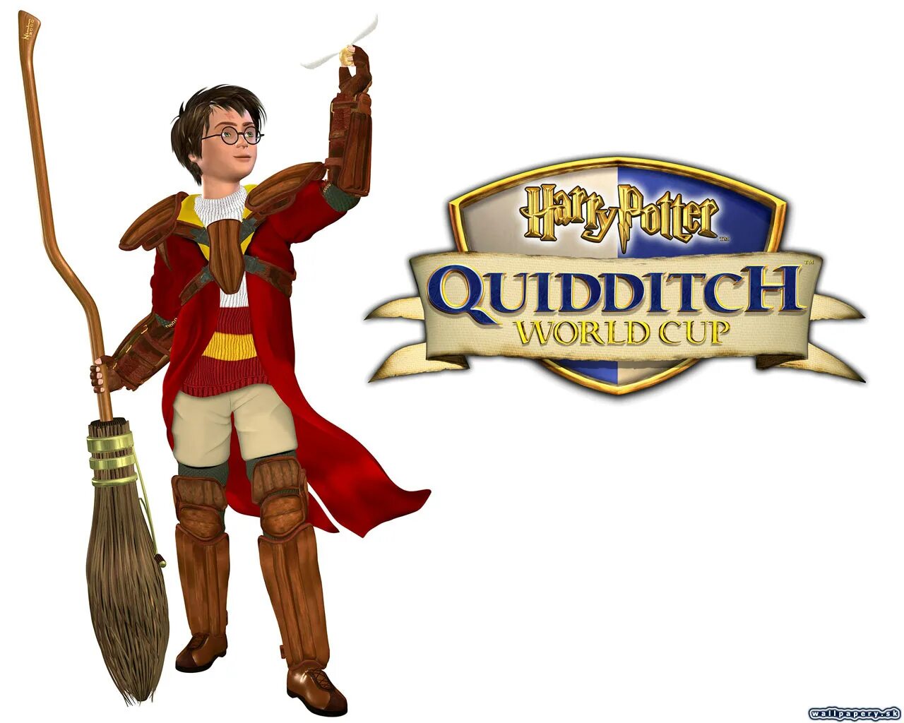 Quidditch cup. Квиддич. Квиддич сквозь века. Harry Potter Quidditch World Cup.