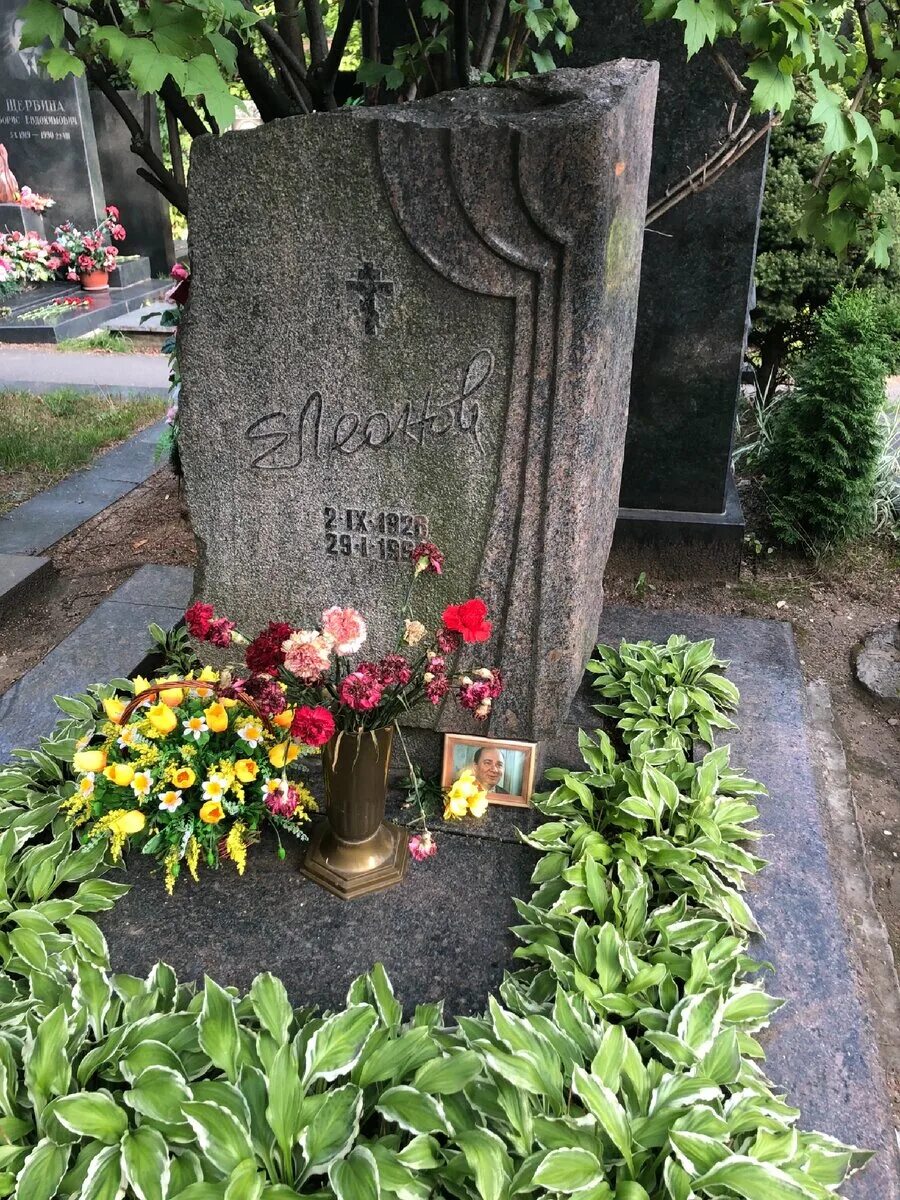 Крамаров похоронен. Новодевичье кладбище Вицин.