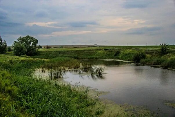 Каранино ульяновская область. Сосновка мордово. Мордово озеро ульяновская область. Озеро ильмень тамбовская область. Мордово озеро.