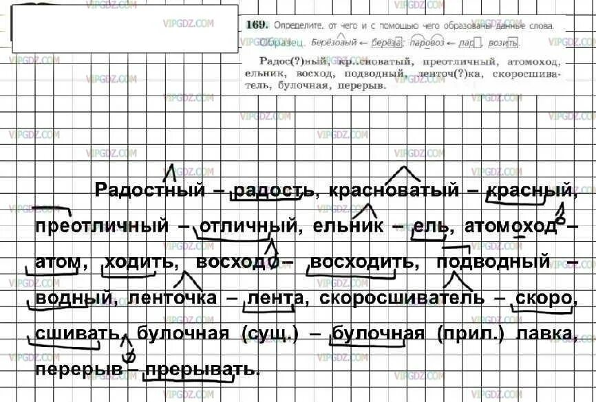 Упр 169 7 класс. Русский язык 6 класс номер 169. Русский язык 6 класс упражнения. Русский язык 6 класс ладыженская. Русский язык 6 класс ладыженская упражнение 169.