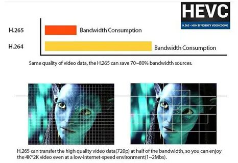 H 265