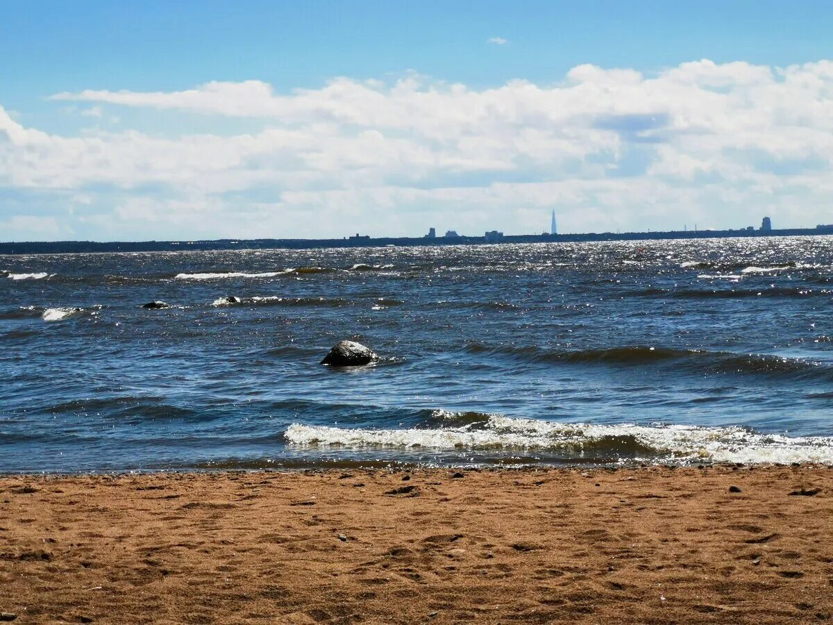 Загрязнённый финский залив. Финский залив в Санкт-Петербурге. Финский залив Питер. Финский залив Балтийского моря. Финский залив соленая вода