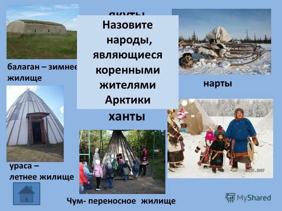 особенности жилища в арктических пустынях. жилища людей в арктике. традиционные жилища народов арктики. жилища энцев. традиционные жилища разных народов.