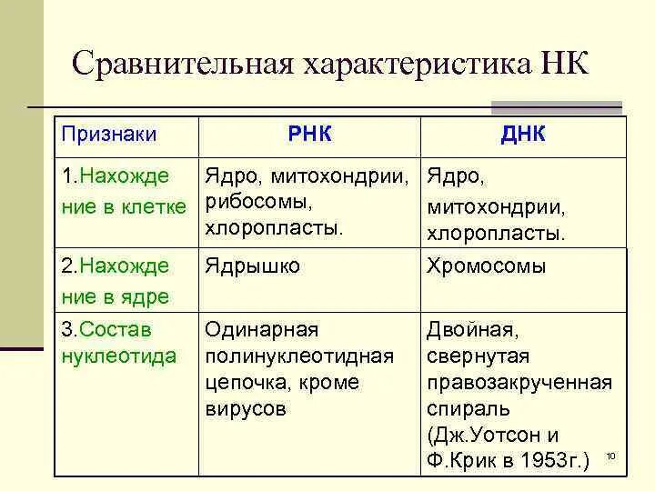 Таблица сравнения ДНК РНК АТФ. Таблица нуклеиновые кислоты ДНК И РНК. Сравнительная таблица ДНК РНК АТФ. Сравнительная таблица ДНК И РНК 10 класс. Сравнить днк и рнк