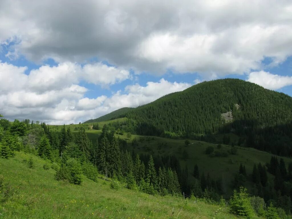Карпаты лысьва. Верховина карпаты. Карпаты, урал, алтай. Гора златибор карпаты. Словакия карпатские горы.