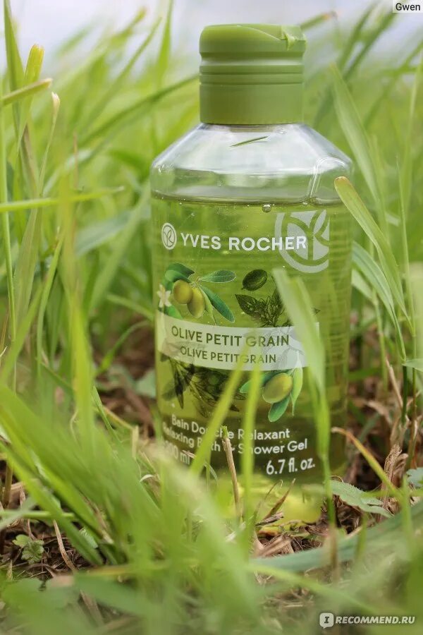 Ив роше свежесть. Ив роше гель для душа оливковый. yves rocher olive petit grain. турецкий гель для душа оливковый.