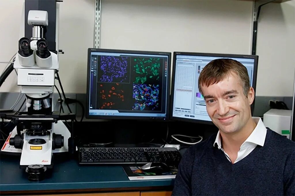 Naming research. Профессор по изучению мозга. bx researcher. neuroscience stanford. researchers.