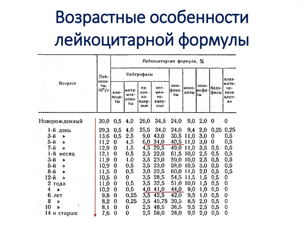 Лейкоцитарная формула расшифровка у взрослых. Лейкоцитарная формула крови норма. Лейкоцитарная формула норма у детей 6 лет. Лейкоцитарная формула крови у детей 2 года норма. Лимфоциты норма у детей 3 года.