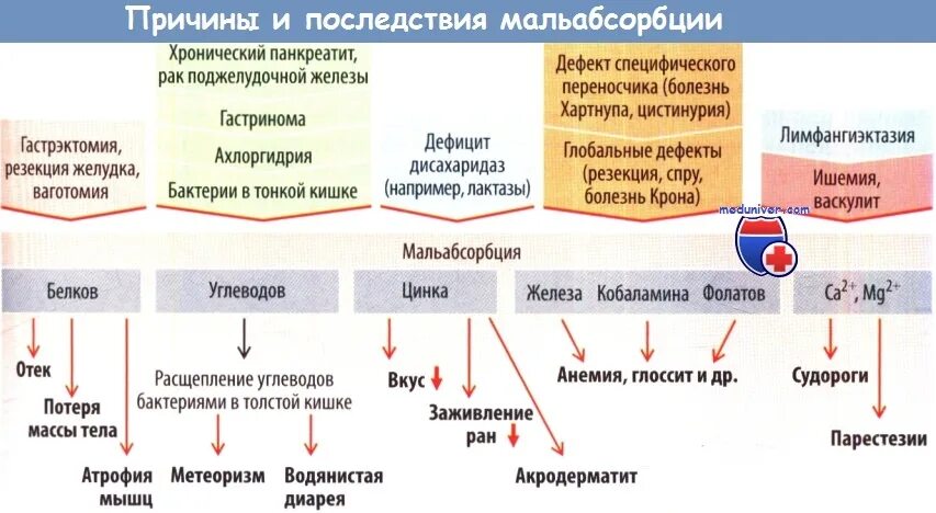 Симптомы мальабсорбции кишечника. Причины развития мальабсорбции. последствия синдрома мальабсорбции. мальабсорбция схема. жалобы при мальабсорбции.