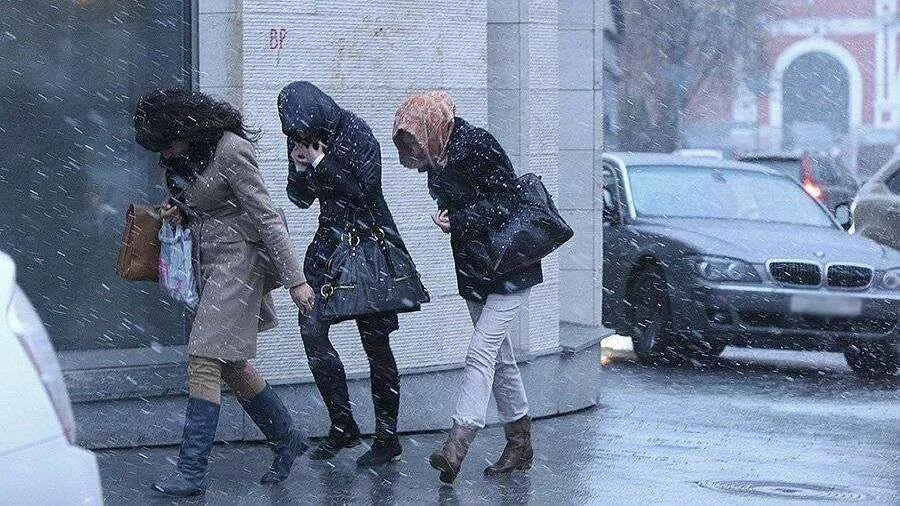 Сильный ветер. Дождь зима подмосковье. Осеннее похолодание. Сильный дождь. Штормовое предупреждение ветер.