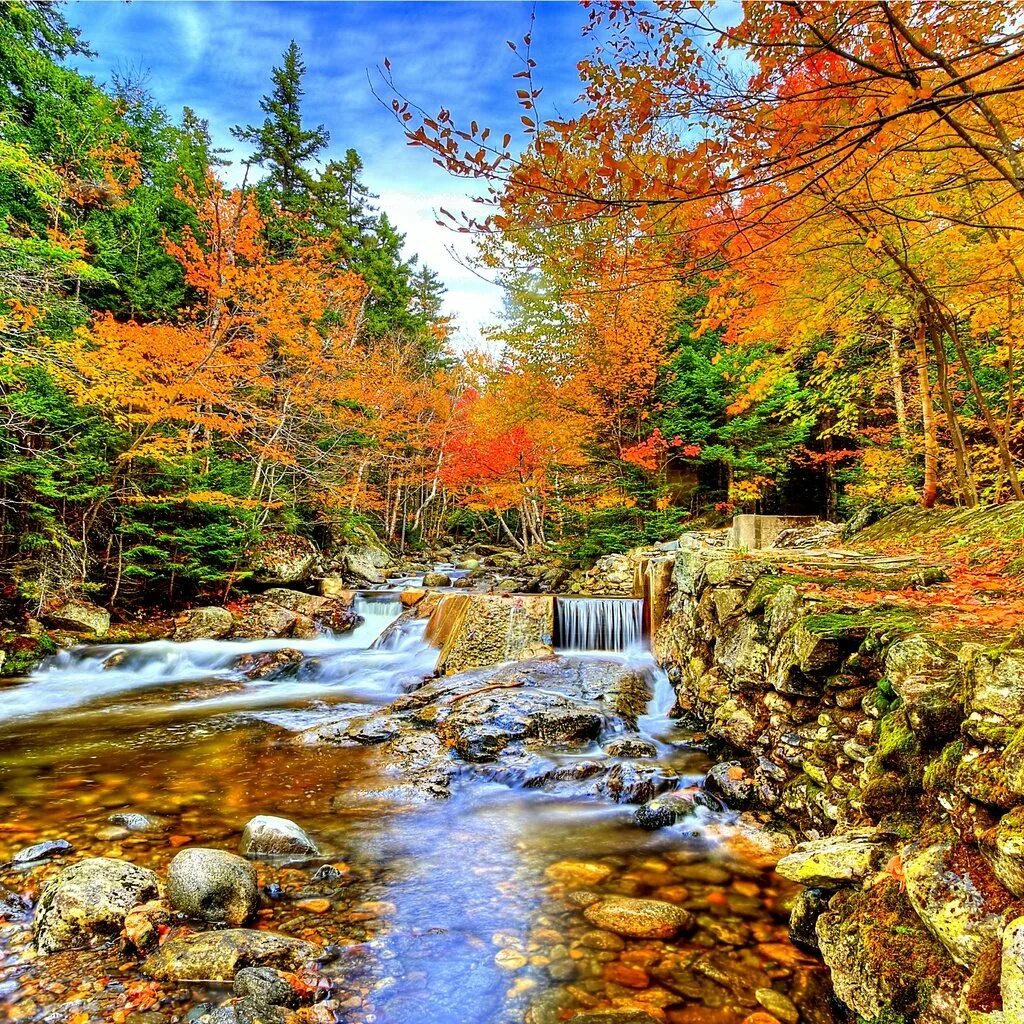 Ручей осенью. Осенний ручей. Осень лес ручей. Ручей в осеннем лесу. Водопад осень.