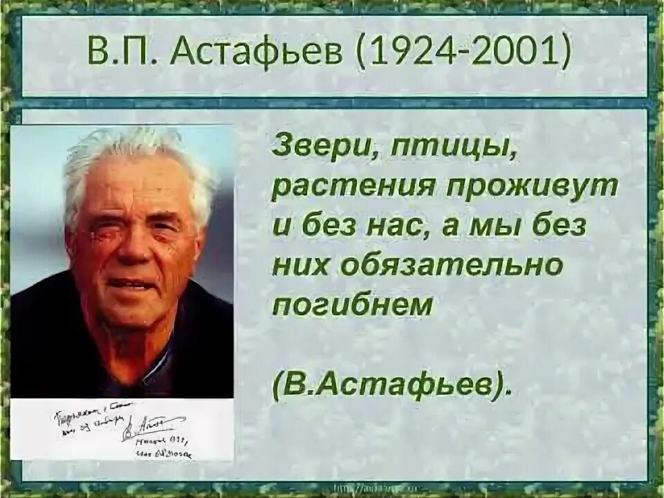 Коростель Астафьев.