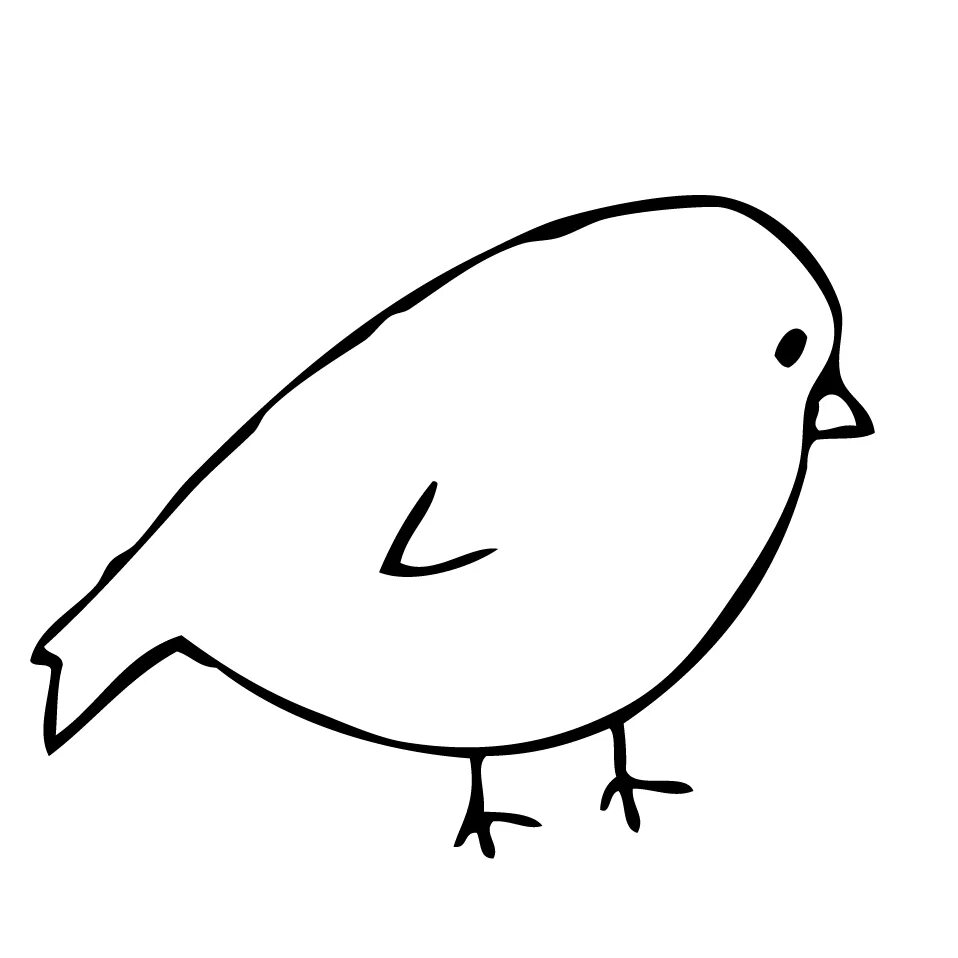 Включи bird. Птицы для срисовки легкие. Птица для срисовки легкая. Птичка для срисовки легкая. Простое рисование птиц.
