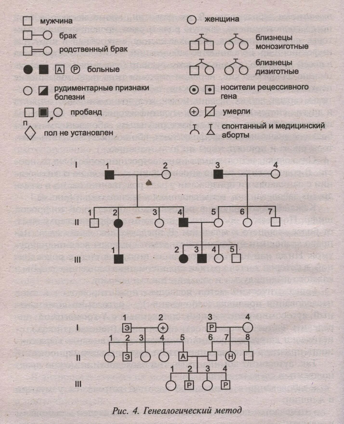 Близкородственный брак Тип наследования. Брак в генетической родословной. Близкородственный брак родословная. Генеалогический метод. Почему близкородственные браки