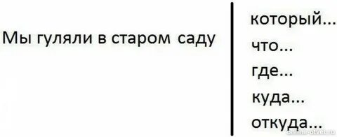 Мы гуляем мы не знаем