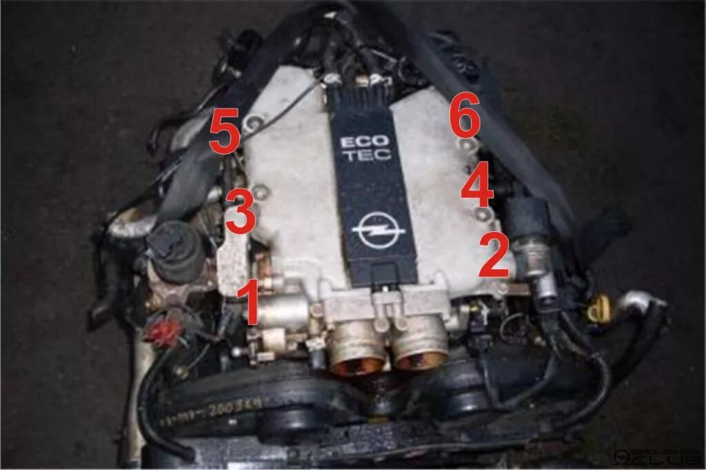 Омега б 2.5 v6. Мотор Opel Omega b x25xe. Двигатель Опель Омега 2.5 v6. Мотор v6 x25xe. Опель мотор 2.5 v6.