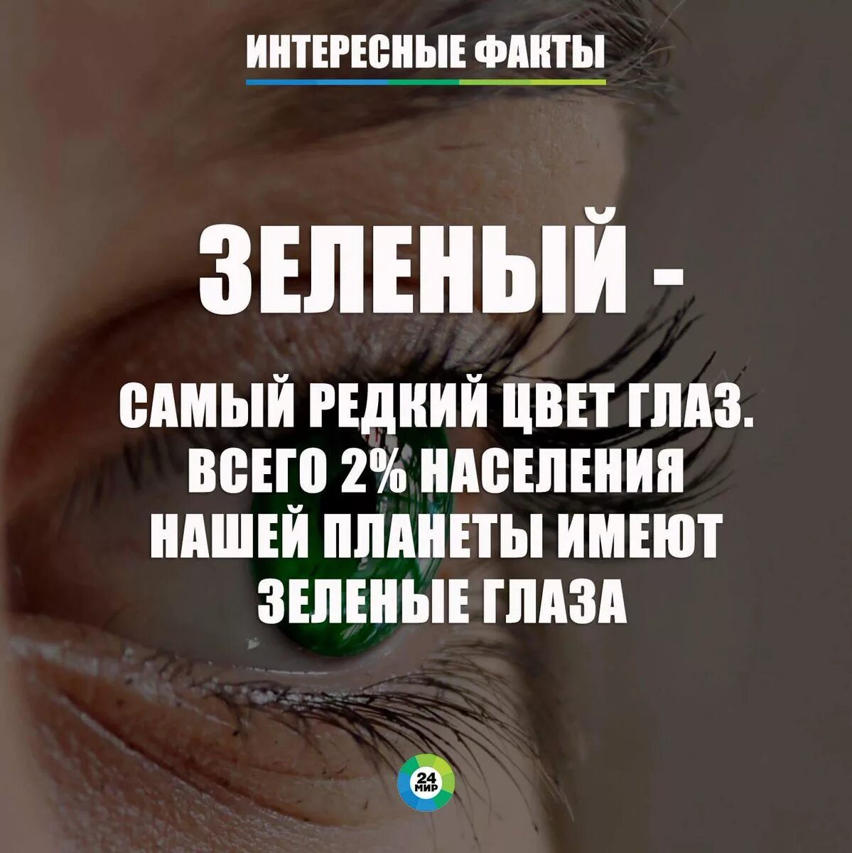 Зеленый цитаты. Интересные факты о цвете глаз. зелёные глаза характеристика. цитаты про зеленые глаза. интересные факты о зеленых глазах.