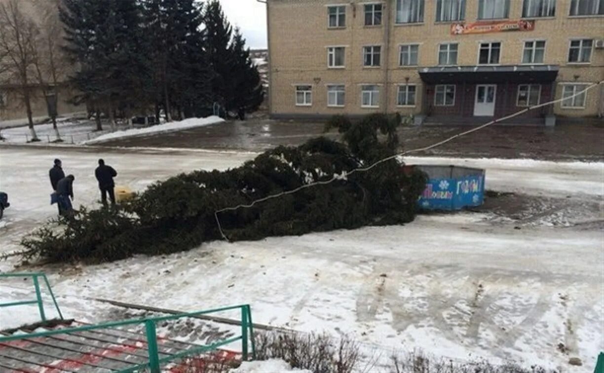 Упала елка чернь. Подслушано чернь Тульская обл. 25 Декабря чернь Тула. Горки в черни Тульской области на
