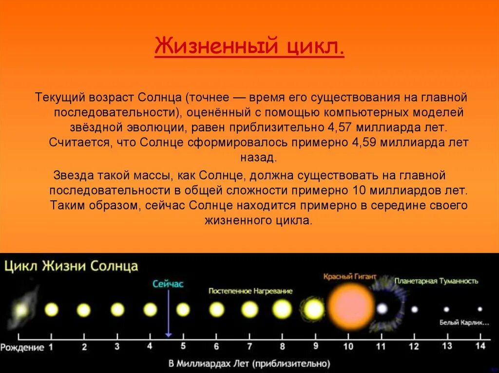 Сколько лет живут звезды. Жизненный цикл звезды солнца. возраст солнца. этапы развития солнца. этапы существования солнца.