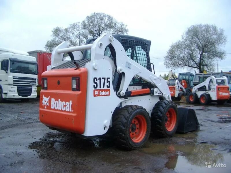 Bobcat 175. Погрузчик Bobcat s175. Мини погрузчик Bobcat s175. Бобкэт 175. Мини погрузчик Bobcat 175.