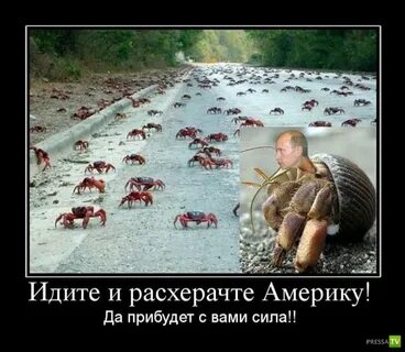Держи силы