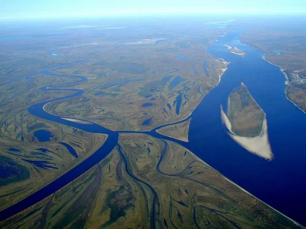 Лена самая крупнейшая река. Западно Сибирская равнина Обь. Западно Сибирская равнина Обь и Иртыш. Река Обь в Западной Сибири. Русло реки Обь.