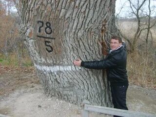 Иванченко елена сергеевна учитель. Иванченко волгоград. Иванченко сергей волгоград доктор. Иванченко станислав владимирович. Григорий иванченко.